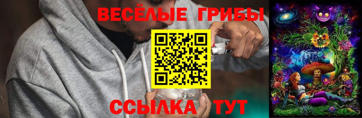 Галлюциногенные грибы мицелий Нарткала